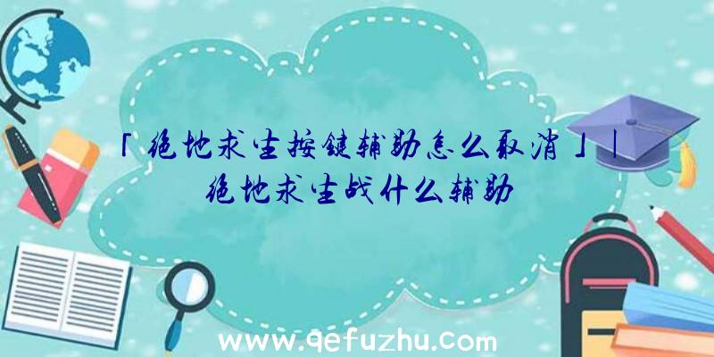 「绝地求生按键辅助怎么取消」|绝地求生战什么辅助